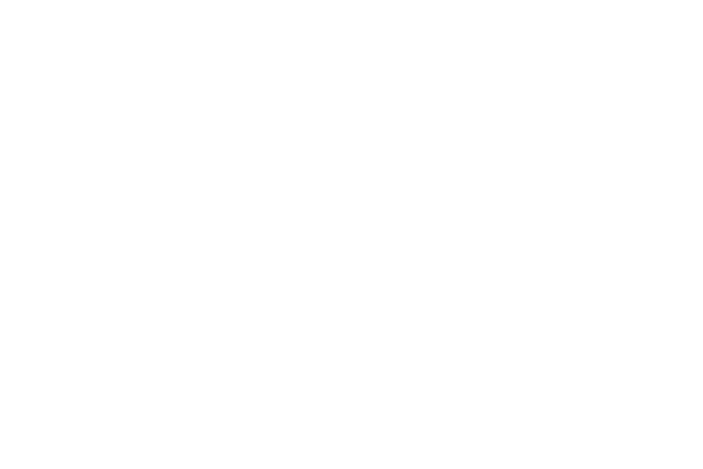 March & Lewke